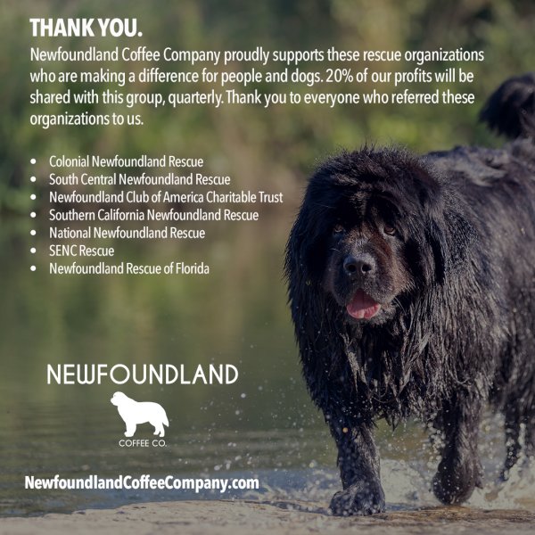 Logo of the Newfoundland Coffee Company